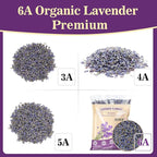 9.5 OZ Lavender Dried Lavender - Sukh Lavender Sachets for Drawers and Closets Lavender Flowers Sachet Bags Fresh Scents Lavender Sachet Bags Dried Flowers Bulk
