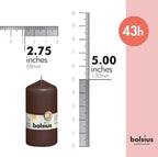 BOLSIUS 8 Maroon Pillar Candles - 2.75 x 5 Inches - Premium European Quality - Individually Wrapped - 43 Hours Burn Time - Dripless & Smokeless - Unscented Dinner, Wedding, Party, & Restaurant Candles