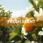 MYARO 12 Packs Orange Blossom Scented Sachets for Drawer and Closet, Long-Lasting Closet Sachet Bags Drawer deodorizers Fresh Scents, Home Fragrance for Lover