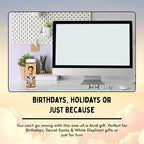 Cruise Celebrity Glass Jar Candle – Unscented Handmade Soy Wax Votive Candle – Unique Gift for Movie Lovers – Home Decor Collectible for Living Room & Office – 8 Inch