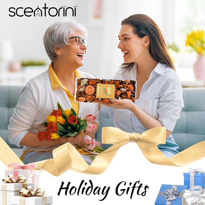 SCENTORINI Potpourri Bags, Citrus Scent, Potpourri Vase Filler, 10.44 oz, 2 Pack Home Fragrance Sachet Dried Flower, Bowl Fillers for Home Bathroom Coastal Decor