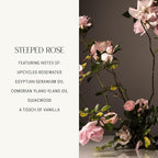 Homecourt Room Deodorant, Natural Room Spray, Fine Fragrance of Rose & Vanilla, For Kitchen, Bathroom & more, Clean Formula, Steeped Rose, 3.4 oz