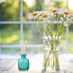 HOSSIAN 100PCS Reed Diffuser Sticks-Natural Rattan Sticks Reed diffusers-Diffuser Replacement Sticks for Aroma Fragrance Reeds for Essential Oil diffusers Refills (7"*3mm Primary Color)