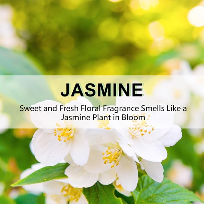 Large 12 Packs Jasmine Hanging Closet Deodorizer Air Freshener Long Lasting Scented Sachets Smell Goods for House