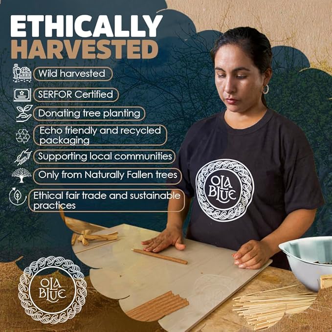 Palo Santo Incense Sticks (12 Pack) and Holder from Peru Premium Authentic - Handmade & Hand Rolled - Cleansing Bad Energy (Incense Sticks)