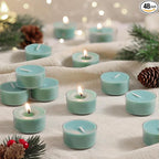 Pine Forest Scented Tea Lights Candles – Pine Green – 6 Hour Burn – 100% Palm Wax – Scented Tealight Candles for Christmas, Winter Holidays, Festive Decor – 48 Pack Scent Votive Candle
