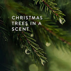 Thymes Frasier Fir Candle - Gilded Collection - Wood Grain Ceramic Design with 24-Karate Gold Rim - Mountain Fresh Fragrance - Elegant Winter Candle Scents - Gifts for Women & Men (Medium, 11 oz)