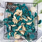 DomeStar Sea Shell Potpourri Bag, Ocean Breeze Scented Dried Flower Potpourri Bowl Filler, Turquoise Vase Filler, Home Fragrance Sachet Petal, Seashell Beach Coastal Bathroom Decor