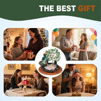 Backflow Incense Burner, Waterfall Incense Holder, Gemstone Money Tree Home Decoration, Office Desk Accessories for Women, House Warming Gifts New Home Fathers Day Dad Gifts