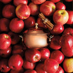 Thymes Simmered Cider Copper Candle - Warm & Spicy Apple Scented Candles for Home - Notes of Apple, Clove, and Cardamom - Luxury Gifts for Women - Fall Decor - 3 Wick (Copper Pot, 18 oz)