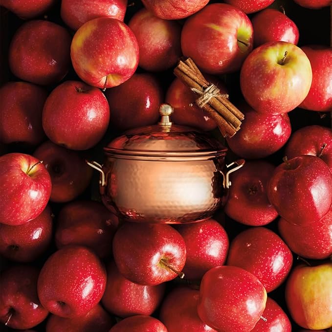 Thymes Simmered Cider Copper Candle - Warm & Spicy Apple Scented Candles for Home - Notes of Apple, Clove, and Cardamom - Luxury Gifts for Women - Fall Decor - 3 Wick (Copper Pot, 18 oz)