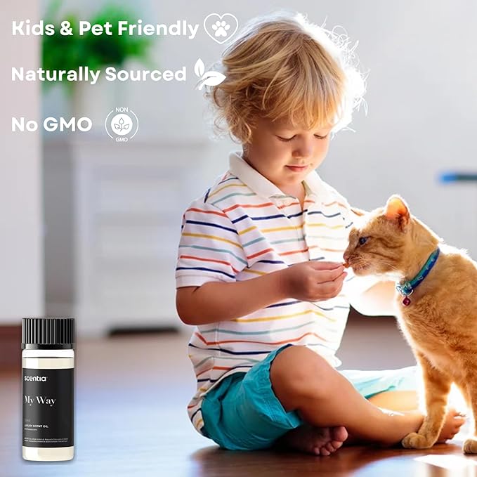 My Way Hotel Diffuser Oil Inspired by The 1 Hotel Miami Beach- 50 ml 1.69 fl oz - Essential Oil Blend Sandalwood, Cedar & Lemon Notes for Aromatherapy Diffusers and Humidifiers