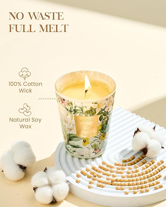 M&SENSE Sage Citrus Scented Natural Soy Wax Candle, 14.1oz 60 Hours Long Lasting Slow Burning Candles for Home Decor, Aromatherapy Candle for Stress Relief