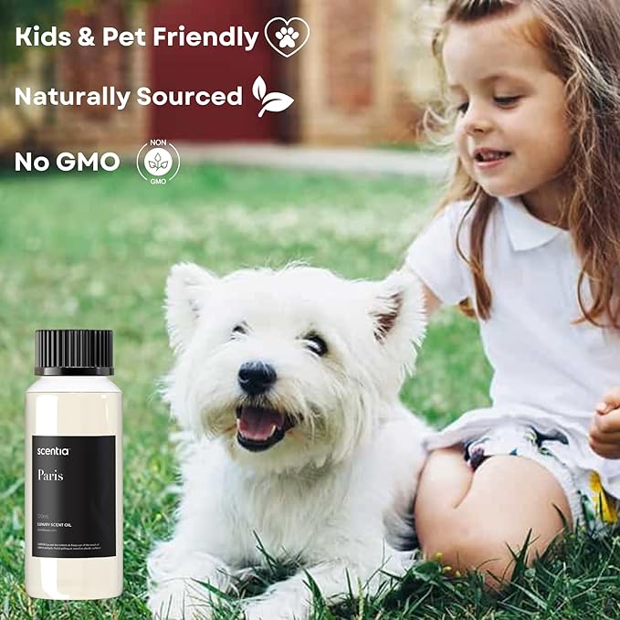 Hotel Fragrance Oil Inspired by The Hotel Costes - 120 mL 4.06 fl oz - Refill Diffuser Oil Blend Rose, Clove & Sandalwood Notes for Aromatherapy Diffusers - Paris