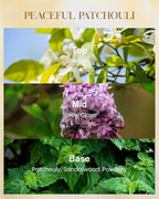 M&SENSE Peaceful Patchouli Scented Natural Soy Wax Candle, 14.1oz 60 Hours Long Lasting Slow Burning Candles for Home Decor, Aromatherapy Candle for Stress Relief