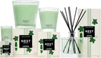 NEST New York Reed Diffuser, Cucumber & White Sage - 5.9 fl oz - Fragrance for Up to 90 Days - Reusable, Refillable Glass Holder - Includes 8 All-Natural Reed Sticks - Flame Free