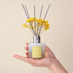 Airkeep Reed Diffuser Set,3.38 fl oz (100 ml) - White Jasmine Oil Diffusers with 8 Reed Sticks, Home Fragrance Reed Diffuser for Bathroom Shelf Decor