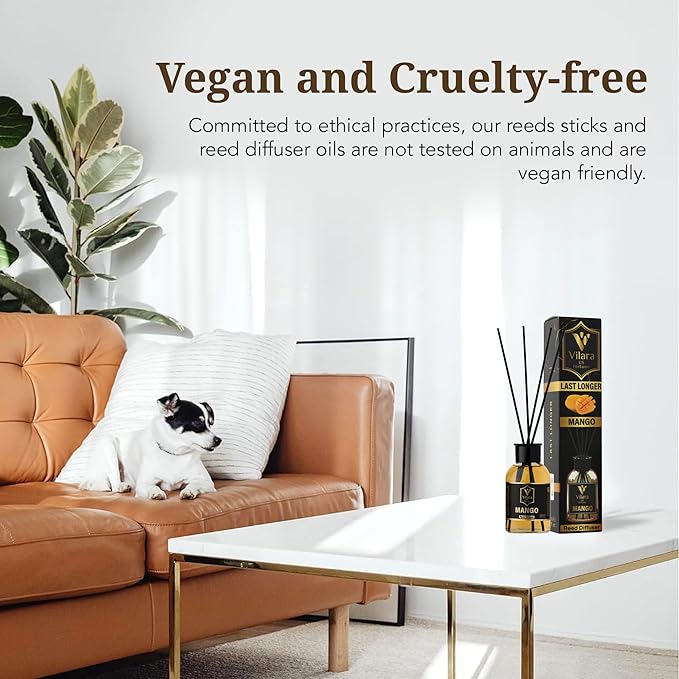 Luxury Reed Diffuser Set - 110ml Aromatherapy Diffuser with Natural Sticks, Aesthetic Room Decor, Long-Lasting Air Freshener for Home, Bathroom, and Office, Essential Oil Stick Diffuse (Mango Pack 3)