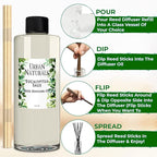 Urban Naturals Reed Diffuser Oil Refill Eucalyptus Sage with Mint, Lime, Cedarwood 8 oz + Free Reed Sticks, Made in The USA