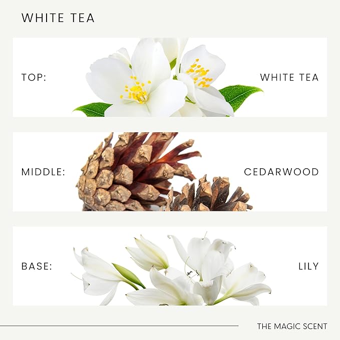 White Tea Diffuser Oil - Hotel & Home Luxury Scents - Diffuser Oil Scents for Home Designed for Use in All Diffusers - 16.9 fl oz, 500 mL
