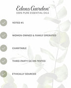 Edens Garden Summer Essential Oils 3 Set – 100% Pure Therapeutic Grade, Undiluted, Aromatherapy Blends for Home Diffusers & Humidifiers – Fragrance Oil Free & Natural Scents Kit, 10 ml/ 3 Pack