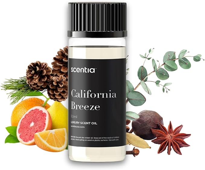 Hotel Diffuser Oil Inspired by The Delano Beach Club Hotel Scent - 50 mL 1.69 fl oz - Fragrance Oil Blend Orange, Green Tea & Jasmine for Aromatherapy Diffusers - California Breeze