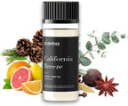 Hotel Diffuser Oil Inspired by The Delano Beach Club Hotel Scent - 50 mL 1.69 fl oz - Fragrance Oil Blend Orange, Green Tea & Jasmine for Aromatherapy Diffusers - California Breeze