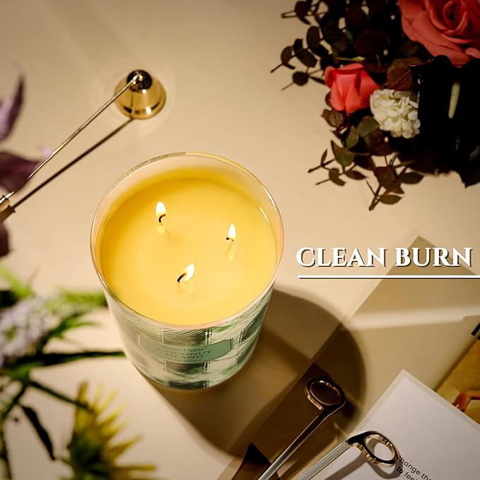 HomeLights 3-Wick Candles for Home Scented - 34oz Soy Wax Blend Candle Long-Lasting Fragrance, Scandinavian Minimalist Design Home Decor and Housewarming Gifts, Coconut Island