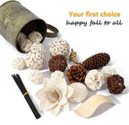 2 Boxes of White Potpourri Bowl Filler Decorative Scented Mixed Dried Flower Vase Filler for Home Decoration (White)