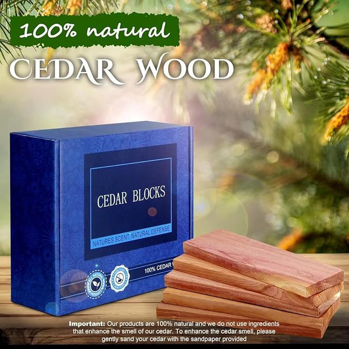Cedar Space Cedar Blocks for Clothes Storage, 18 Pack Cedar Hang Ups, 100% Natural Cedar Wood for Closet Planks, Aromatic Red Ceder Blocks, Cedar Planks, Cedar Accessories for Closets Storage