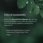 Aera Mini Bamboo Jardin - Essential Oil for Home - Garden Fragrance - Notes of Lush Greens and Citrus - Scent Refill - Capsule Size Works with Mini Diffuser