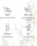 Edens Garden Essential Oils Around The World 3 Set – 100% Pure Therapeutic Grade Aromatherapy: Lavender, Peppermint & Tea Tree Oil for Diffusers & Home – No Fragrance & Undiluted, 10 ml/ 3 Pack