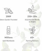Edens Garden Essential Oils 3 Set – 100% Pure Therapeutic Grade, Undiluted, Natural Aromatherapy Scents for Diffusers, Humidifiers, Massage & Yoga – Eucalyptus, Lemon & Peppermint, 10 ml/ 3 Pack