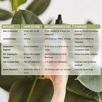 Aroma Country 100% Pure Eucalyptus Essential Oil – Organic & Undiluted Diffuser Oil, Humidifier, Steam Room & Shower Aromatherapy – Natural, Therapeutic Grade Oil for Skin, Sauna, & Home (4 Fl. oz)