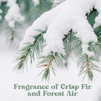 Fir & Forest Room Spray 2 Pack, 3.4oz/100ml Each – Long-Lasting Air Freshener & Odor Eliminator for Home, Linen, Bathroom, Bedroom & Office, Concentrated Room Spray