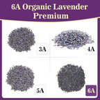 Sukh 3oz Lavender Dried Lavender - Lavender Buds Sachets for Drawers and Closets Lavender Flowers Sachet Bags Fresh Scents Lavender Sachet Bags Dried Flowers for Patry Birthday Bridal Shower Bulk