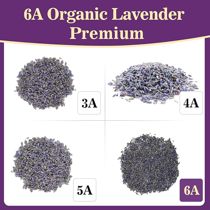 Sukh 3oz Lavender Dried Lavender - Lavender Buds Sachets for Drawers and Closets Lavender Flowers Sachet Bags Fresh Scents Lavender Sachet Bags Dried Flowers for Patry Birthday Bridal Shower Bulk