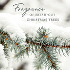 Thymes Frasier Fir Tree and Room Spray - Room Spray with Christmas Tree Scent - Air Fresheners for Home with Frasier Fir Fragrance and Siberian Fir Needles, Flameless Pine Scent - 3.75 Oz