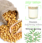 12 Pcs 6 Oz Mini Soy Candles,Eucalyptus Scented Bulk Candle Set,Aromatherapy Candle,Great Stress Relieving Scented Candles for Girls as a Gift for Birthdays, Weddings Party Favors!