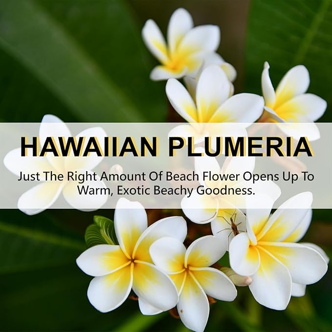 Large 12 Packs Hawaiian Plumeria Hanging Closet Air Freshener Scented Sachets Long Lasting Smell Goods
