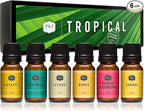 &J Fragrance Oil Tropical Set | Banana, Coconut, Awapuhi and Seaberry, Pineapple, Mango, Ocean Breeze Candle Scents for Making, Freshie Scent, Soap Making Supplies, Diffuser