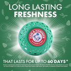 Arm & Hammer Odor Busterz Forest Pine (3 count)