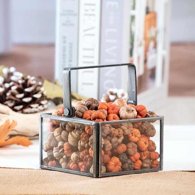 ANDALUCA Natural Vase Fillers | Fall Fragrance Scented Putka Pods Potpourri Home Décor (Mixed Putka Pods)