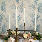 20 Pack Ivory Taper Candles 12 Inch Tall 3/4 Inch Thick Burn 10 Hours