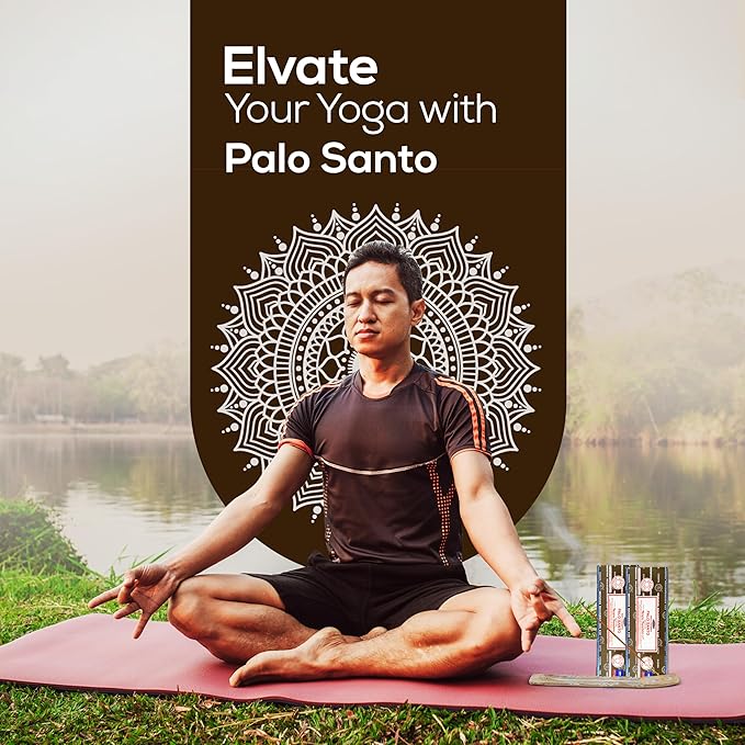 Satya Palo Santo Incense Sticks 250 gmx 2 Pack (500 GMS), Insenses with Raajsee insence Holder Bundle, Nag Champa Natural Incenses