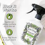 Home-Pourri Air + Fabric Multi-Purpose Odor Freshener Spray, Bamboo Rain, 11 Fl Oz - Jasmine, Bamboo and Fresh Grass