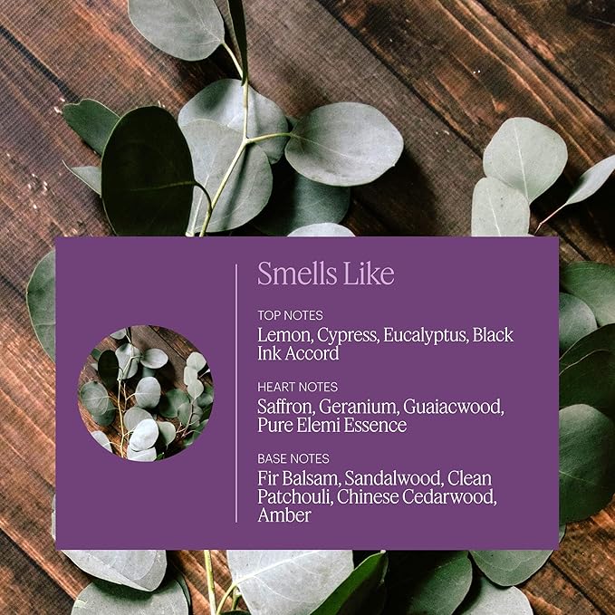 Aera Mini Poetry - Essential Oil for Home – Smooth Suede and Violet Fragrance - Notes of Vetiver, Eucalyptus and Woods - Scent Refill - Capsule Size Works with Mini Diffuser