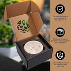 Incense Holder for Sticks and Cones - Handcrafted Limestone Incense Burner and Ash Catcher, Modern Stone Holder for Aromatherapy, Meditation, and Japanese Incense