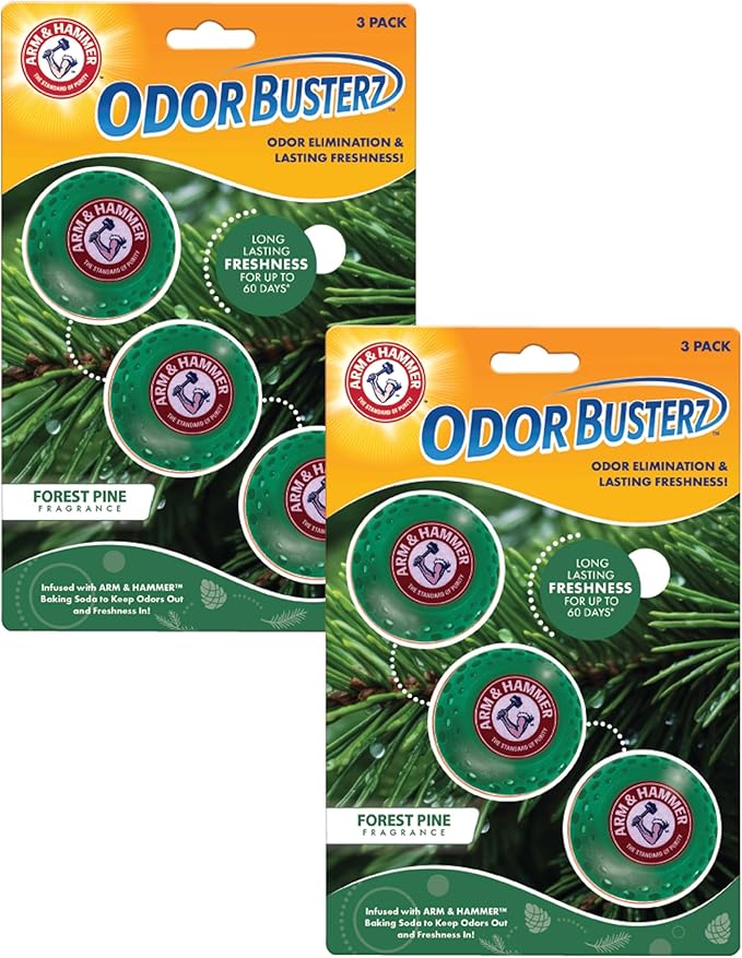A&H Odor BusterZ Forest Pine 6pk Blister