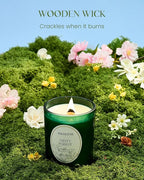 M&SENSE Eucalytus Pine Strong Scented Candle, Wooden Wick Candle, 100 Hours Slow Burning No Toxin Natural Soy Wax 18oz, Relax Aromatherapy Home Fragrance,Housewarming Gifts for Men Women